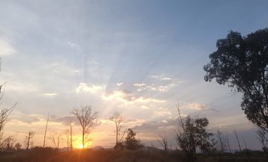 Venta de Terreno en Rancho San José de Buenavista