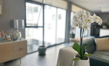 Departamento en venta Lomas de Tecamachalco