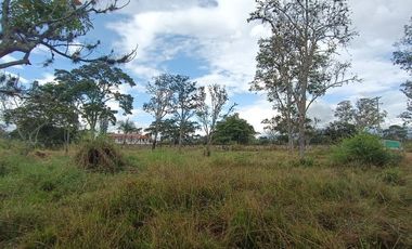 Lote en venta en Chinauta – 24.873 m² sobre vía principal, ideal para inversión