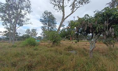 Lote en venta en Chinauta – 24.873 m² sobre vía principal, ideal para inversión