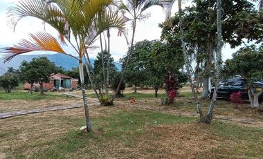 Lote en venta en Chinauta – 24.873 m² sobre vía principal, ideal para inversión