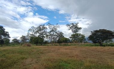 Lote en venta en Chinauta – 24.873 m² sobre vía principal, ideal para inversión