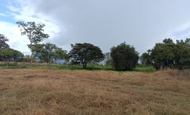 Lote en venta en Chinauta – 24.873 m² sobre vía principal, ideal para inversión