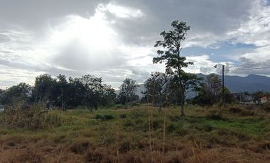 Lote en venta en Chinauta – 24.873 m² sobre vía principal, ideal para inversión