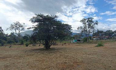 Lote en venta en Chinauta – 24.873 m² sobre vía principal, ideal para inversión