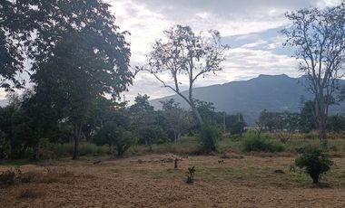 Lote en venta en Chinauta – 24.873 m² sobre vía principal, ideal para inversión