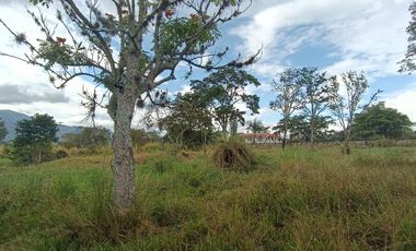 Lote en venta en Chinauta – 24.873 m² sobre vía principal, ideal para inversión