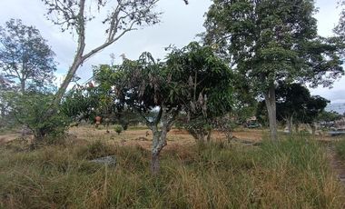 Lote en venta en Chinauta – 24.873 m² sobre vía principal, ideal para inversión