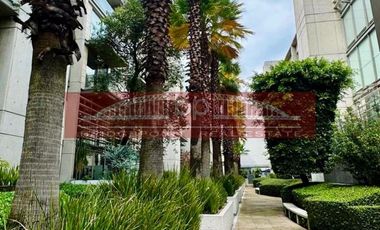 Departamento tipo loft en renta  en Hegel, Polanco, Miguel Hidalgo, CDMX
