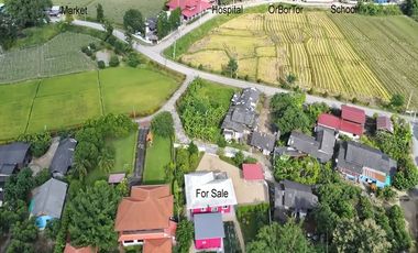 Immaculate Country Home with Separate Guest Cottage • Private Walled Plot • Freehold or 30-Year Registered Lease
