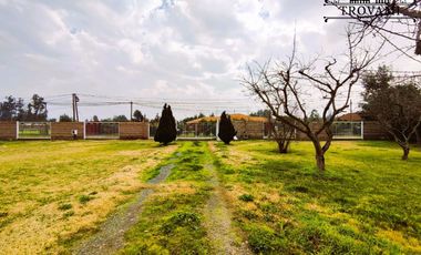 VENTA HERMOSA PARCELA  5000M2 CON CASA DE 133M2 , COLONIAS DE PAINE, PAINE