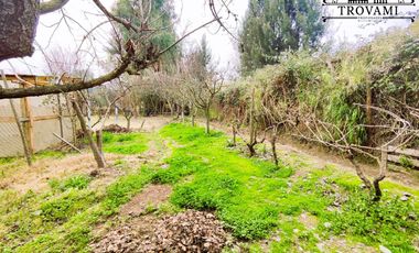 VENTA HERMOSA PARCELA  5000M2 CON CASA DE 133M2 , COLONIAS DE PAINE, PAINE