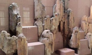 Below Market Price at Strategic Location