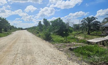 Tanah di Riau Baru dekat tol