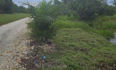 Tanah di Riau Baru dekat tol