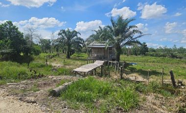 Tanah di Riau Baru dekat tol