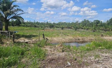 Tanah di Riau Baru dekat tol