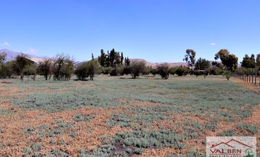 Venta ParcelasVenta de Parcela en Batuco.