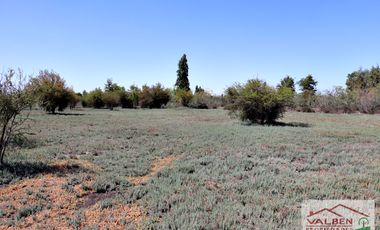 Venta ParcelasVenta de Parcela en Batuco.