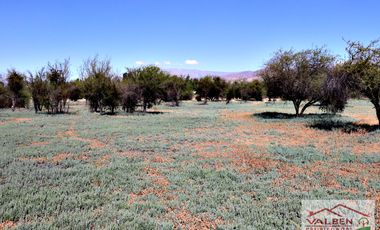 Venta ParcelasVenta de Parcela en Batuco.