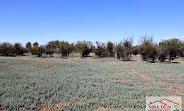 Venta ParcelasVenta de Parcela en Batuco.