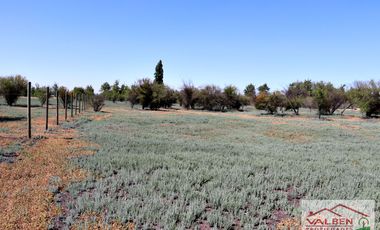 Venta ParcelasVenta de Parcela en Batuco.