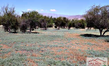 Venta ParcelasVenta de Parcela en Batuco.