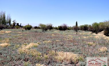 Venta ParcelasVenta de Parcela en Batuco.