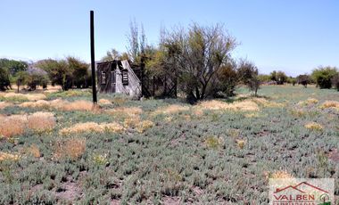 Venta ParcelasVenta de Parcela en Batuco.