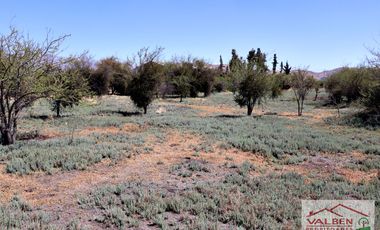 Venta ParcelasVenta de Parcela en Batuco.