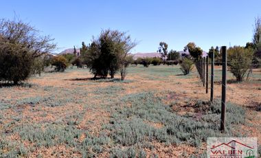 Venta ParcelasVenta de Parcela en Batuco.