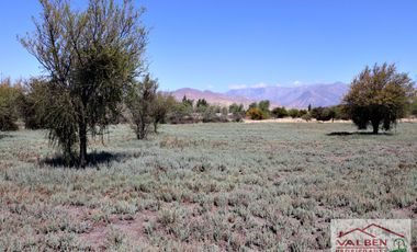 Venta ParcelasVenta de Parcela en Batuco.