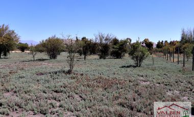 Venta ParcelasVenta de Parcela en Batuco.