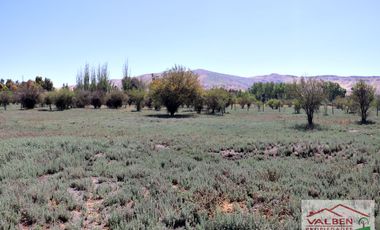 Venta ParcelasVenta de Parcela en Batuco.