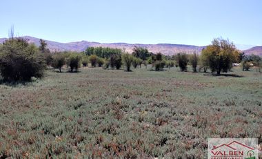 Venta ParcelasVenta de Parcela en Batuco.