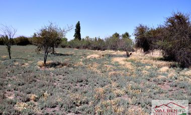 Venta ParcelasVenta de Parcela en Batuco.