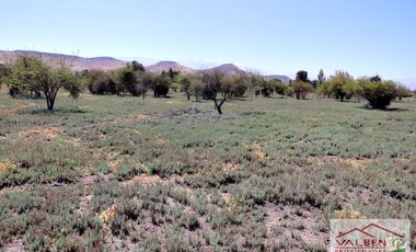 Venta ParcelasVenta de Parcela en Batuco.