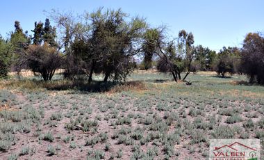 Venta ParcelasVenta de Parcela en Batuco.