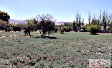 Venta ParcelasVenta de Parcela en Batuco.