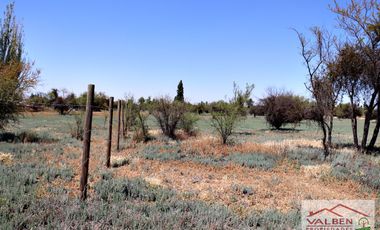 Venta ParcelasVenta de Parcela en Batuco.