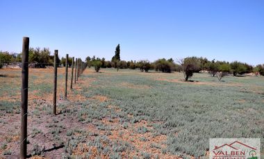 Venta ParcelasVenta de Parcela en Batuco.