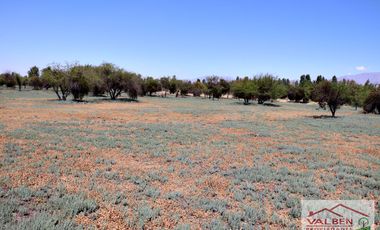 Venta ParcelasVenta de Parcela en Batuco.