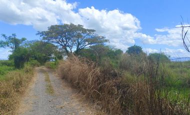LOT FOR SALE URDANETA PANGASINAN