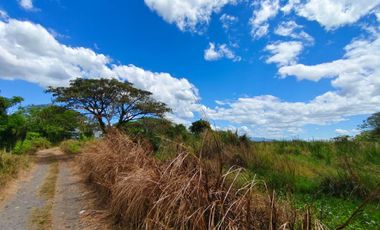 LOT FOR SALE URDANETA PANGASINAN