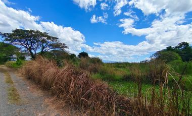 LOT FOR SALE URDANETA PANGASINAN