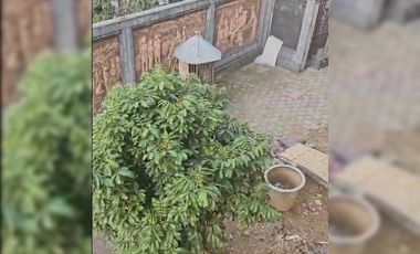 LDP 0077 MURAH BANGET, Dijual Villa Siap Huni Di Area Trawas Mojokerto Jawa Timur