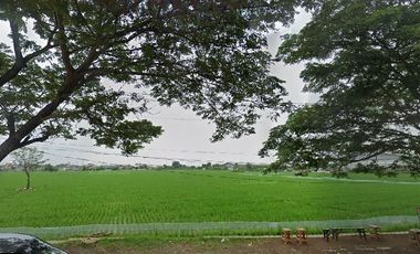 Dijual Tanah Menghadap Jalan Raya di Jl. Lingkar Tanjungpura - Karawang Barat