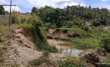 Dijual BU Tanah Tambang Pasir Desa Ciginggang Kabupaten Rangkas Bitung