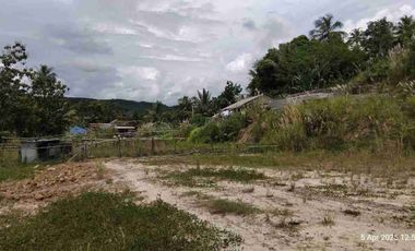 Dijual BU Tanah Tambang Pasir Desa Ciginggang Kabupaten Rangkas Bitung