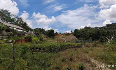 Dijual BU Tanah Tambang Pasir Desa Ciginggang Kabupaten Rangkas Bitung